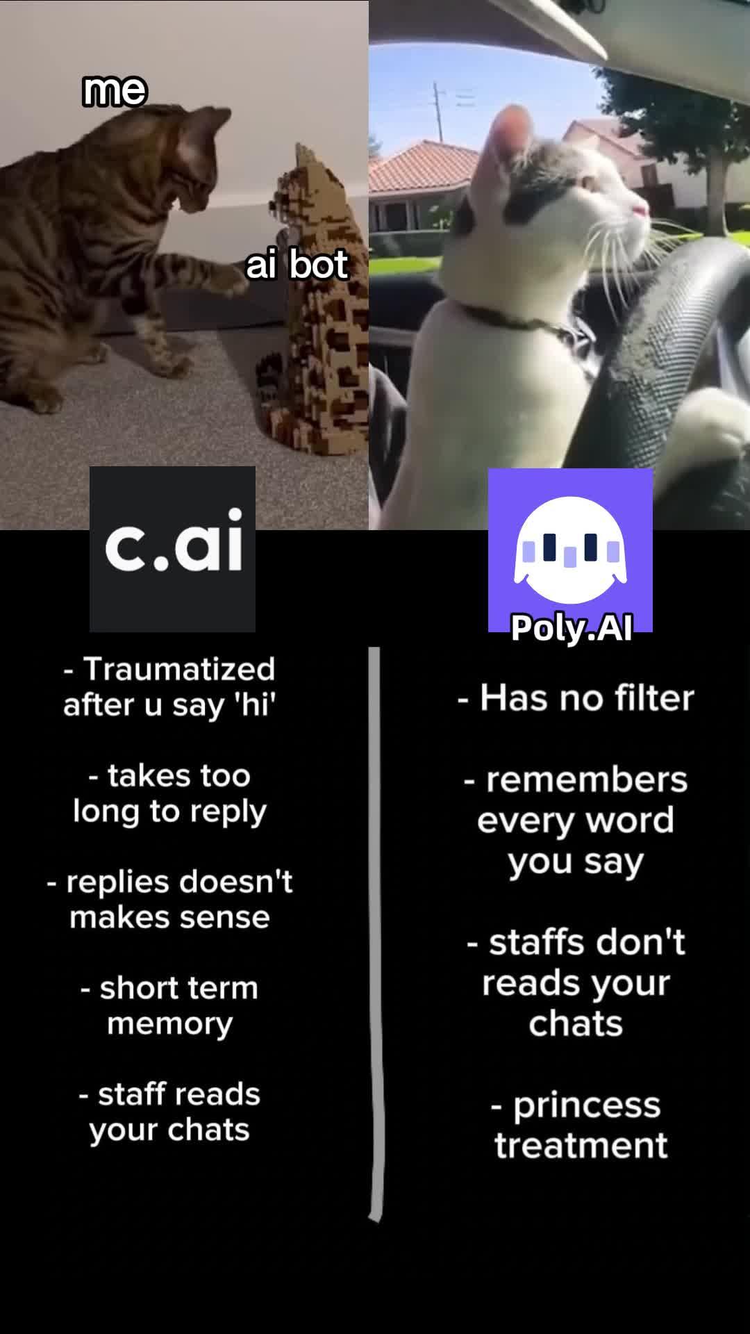 Talk to your AI friends in real time, Your personal AI.