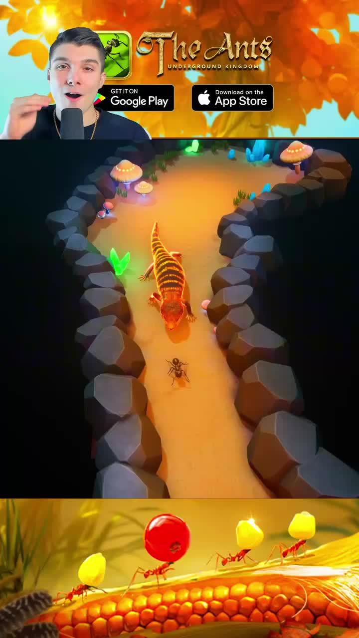 Ants are really cool creatures!!