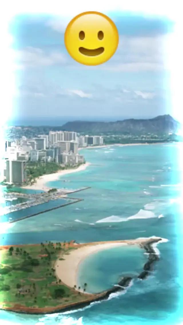 Play Bingo and Find your Treasure!