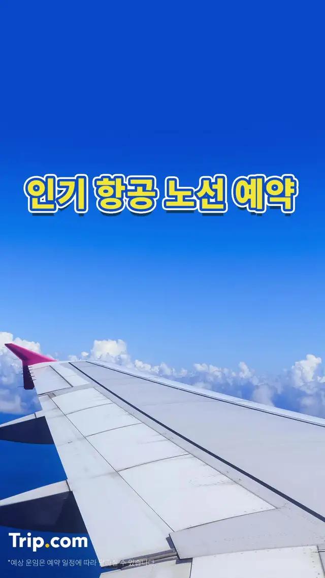 저가 항공권 예약