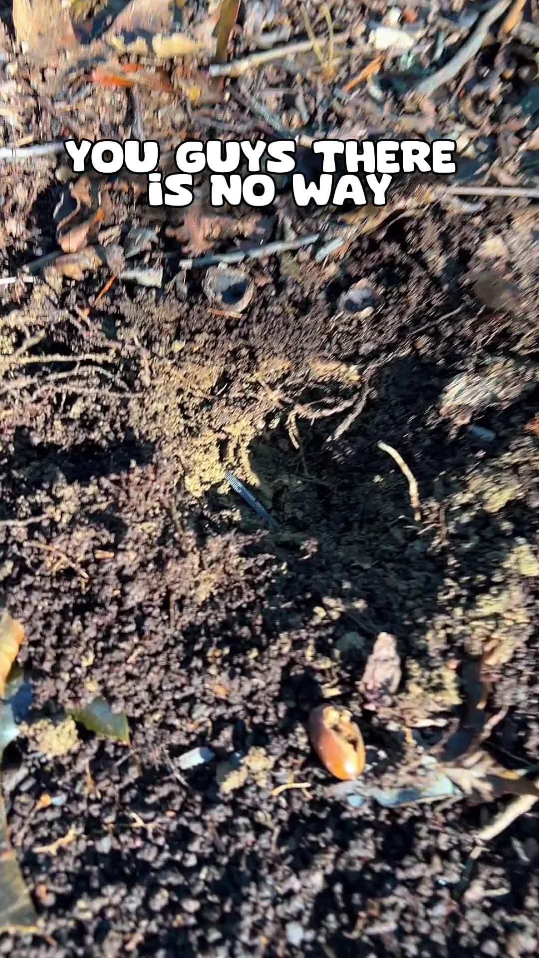 Find out the value of coins.