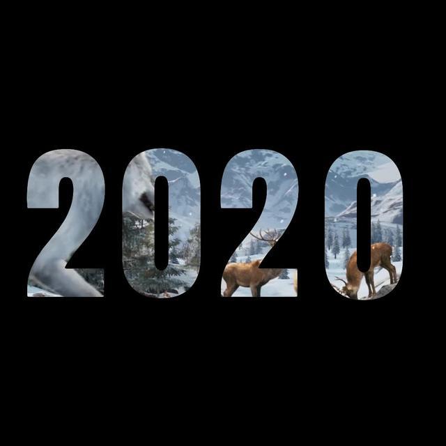 【New Event Alert!】Download the Wolf Game for FREE and get ready to win BIG rewards!