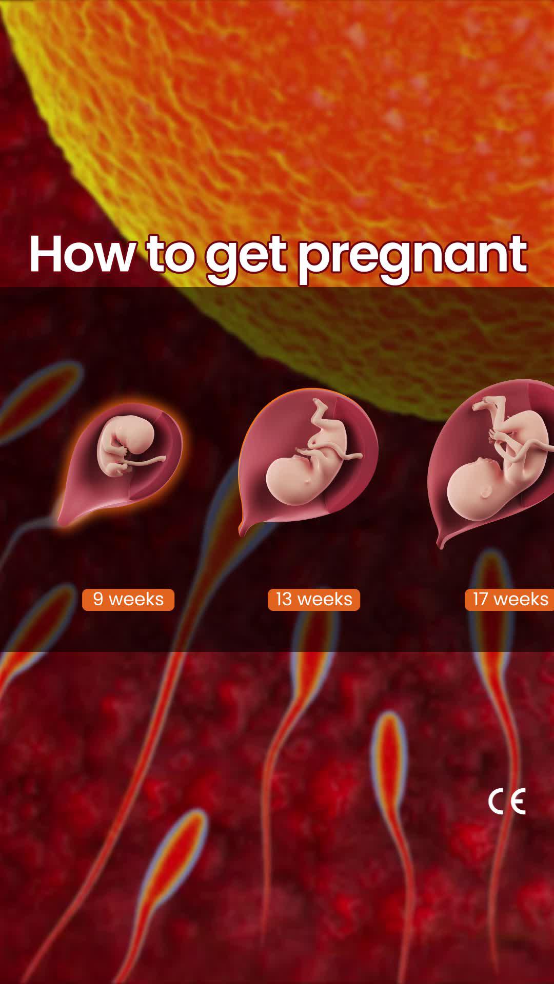 Get REAL-TIME fertility insights on the first try!