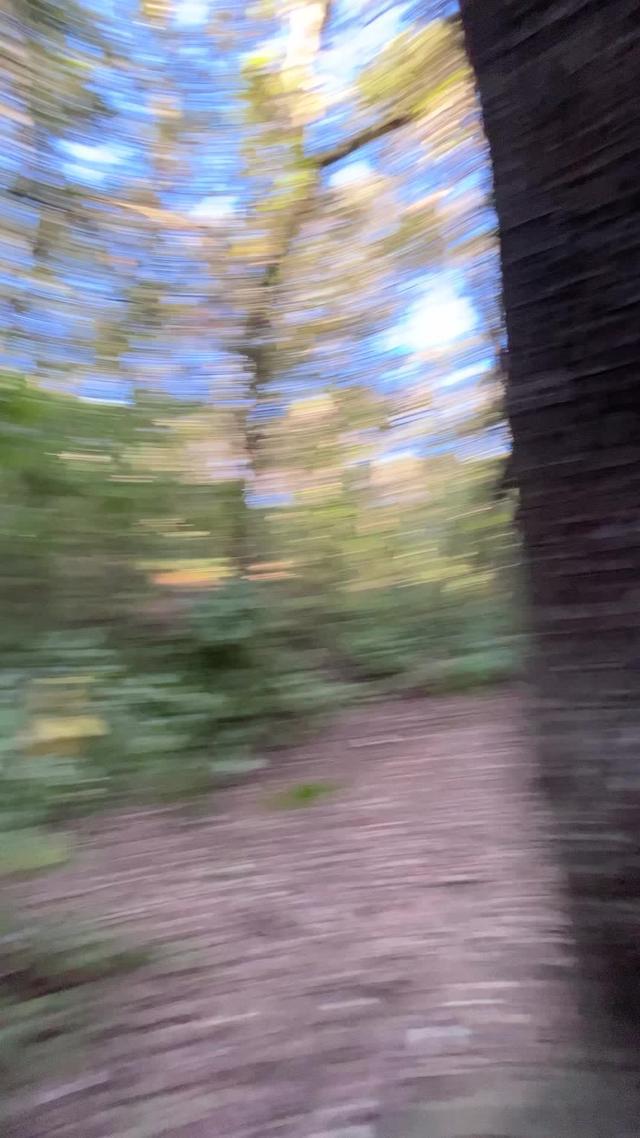 Earn Sweatcoin through your steps!