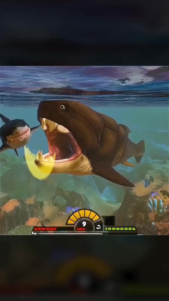 Only one team can survive, can you become the king of the ocean ?