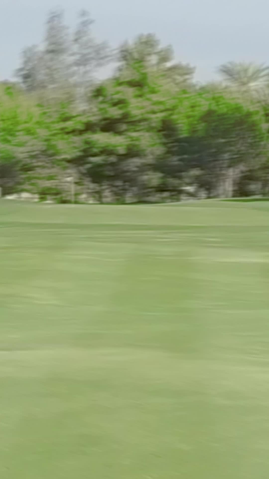 The Best Mobile Golf App!