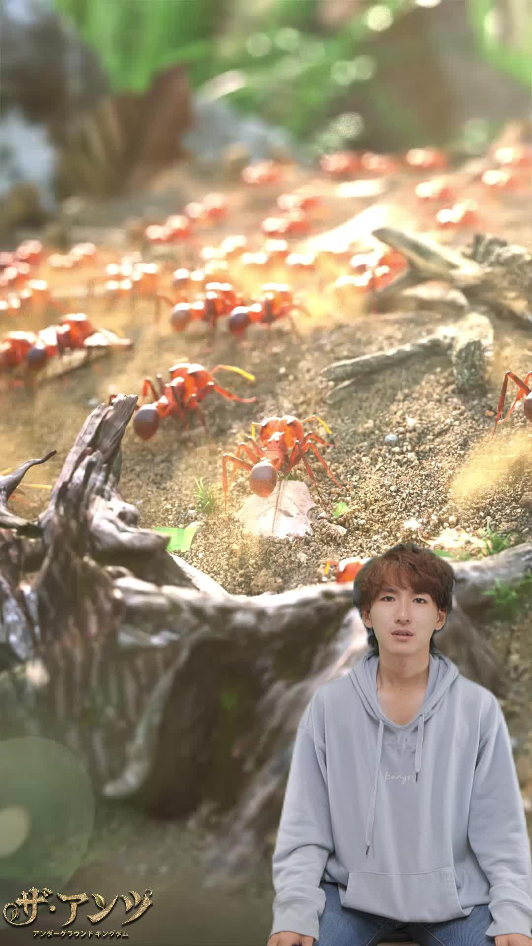 あなたのアリ帝国を築き上げろう