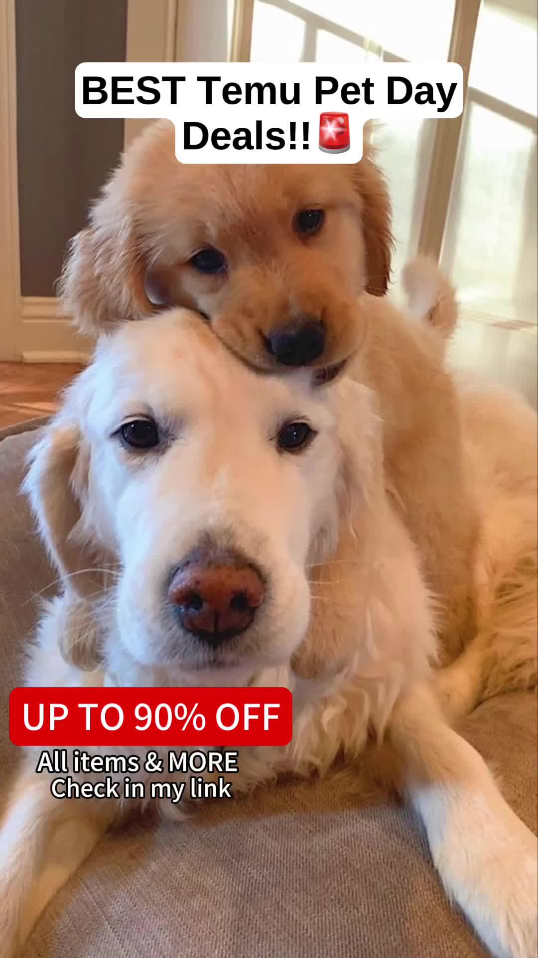 💰 I REALLY save big on Temu♥!! 💰 Don't miss out on amazing deals! ⚡ Download Temu today and start saving up to 90% off #temu #temufinds #temujewerly#temufinds #temu #temushopping #temuhaul #shopnow #instagood #foryou #foryourpage #fyp #trending