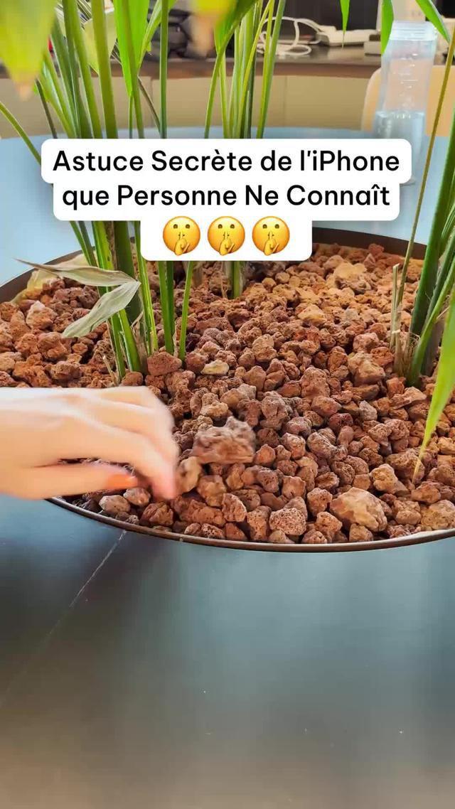 Supprimez les photos en double avec l'application Cleanup en quelques secondes.