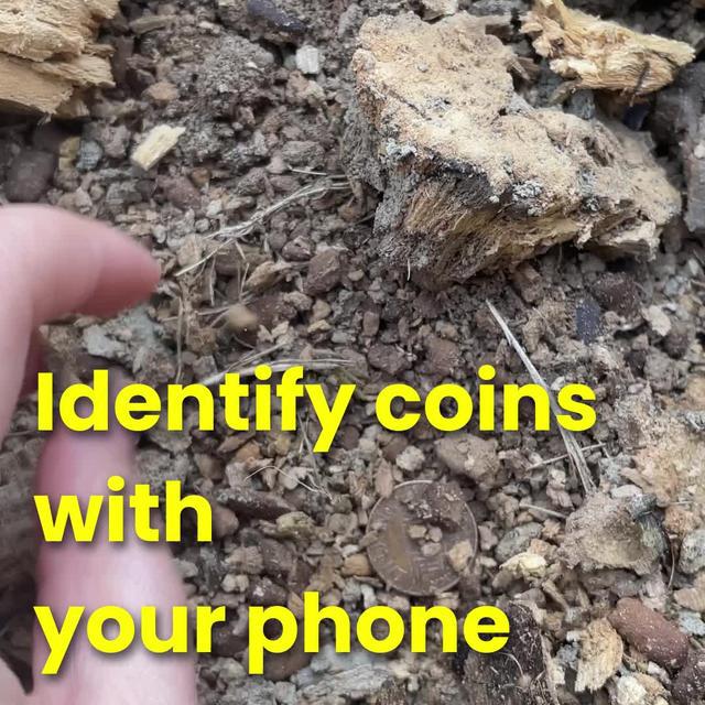 Make you a pro coin collector!