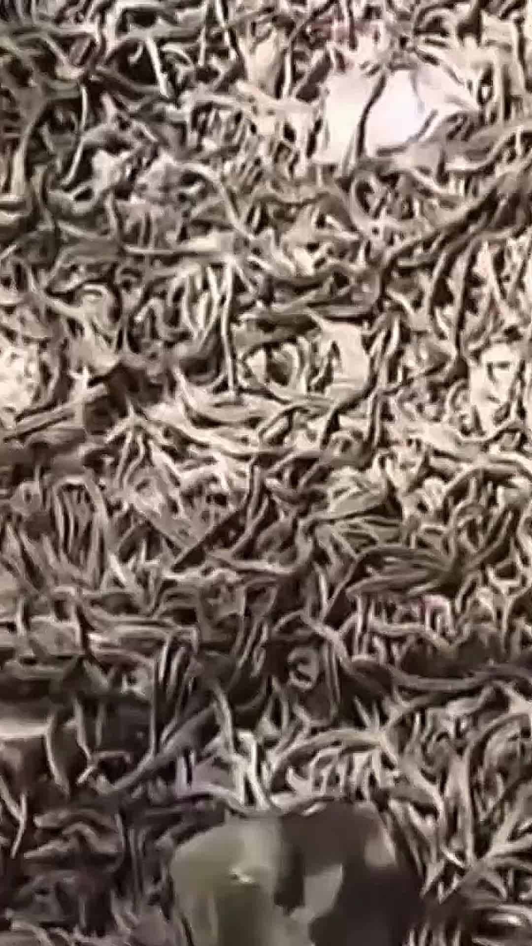 This game is so addictive