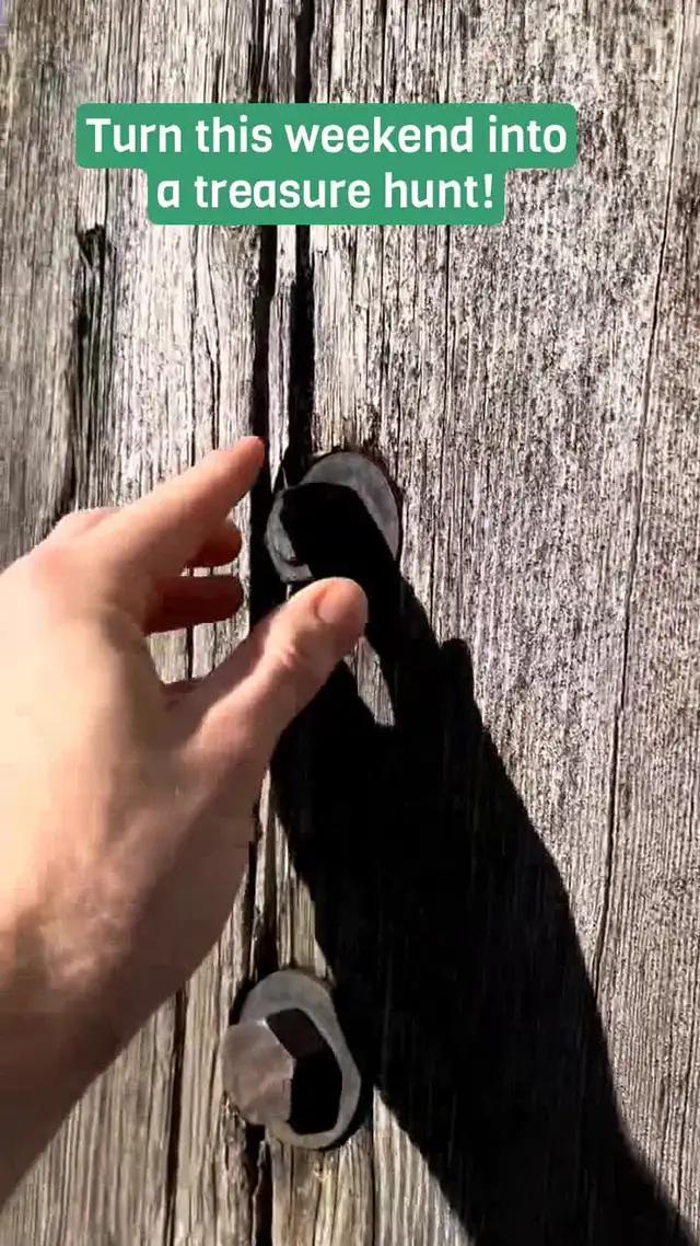 Search for kid friendly or extra challenging caches!