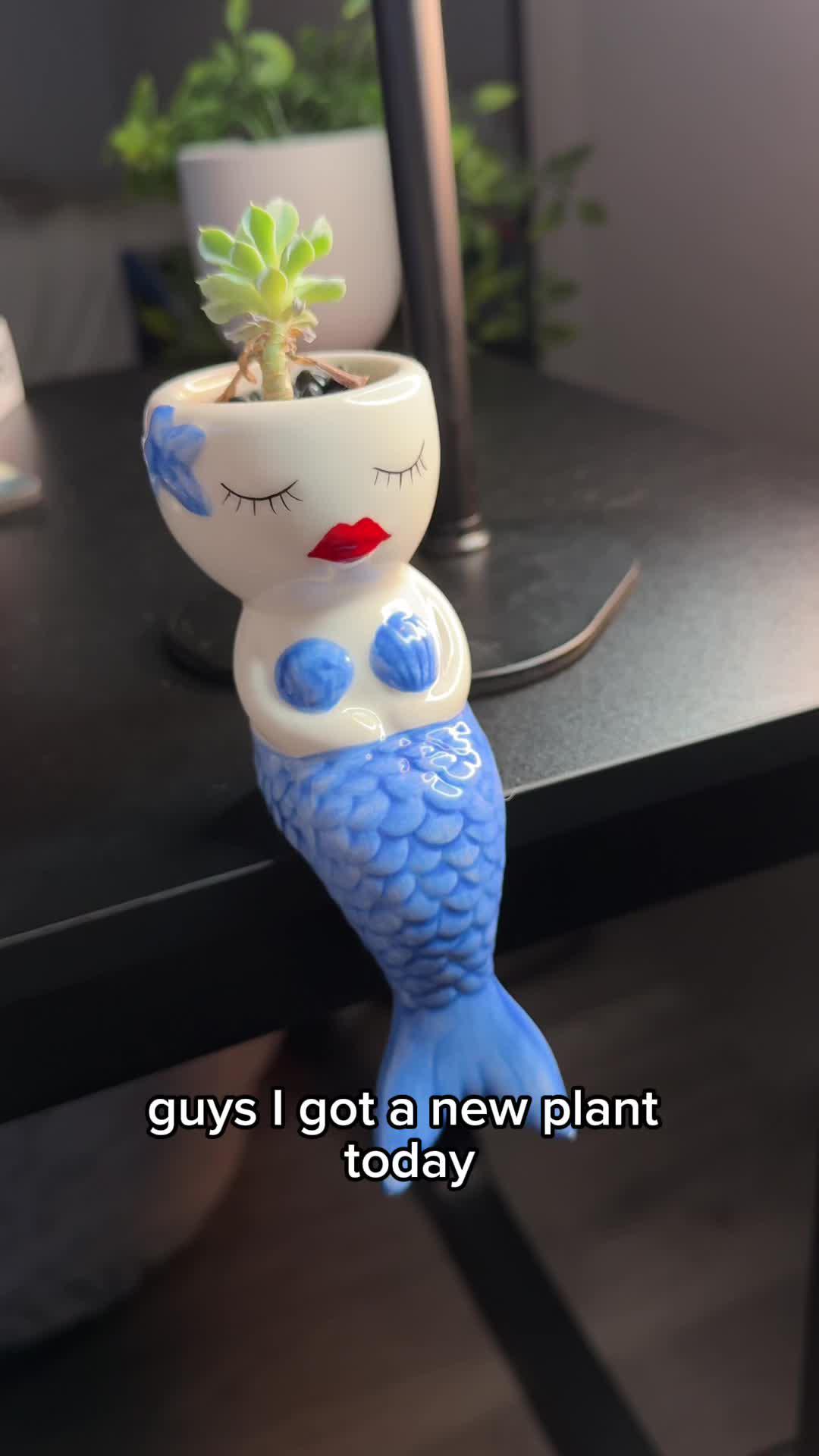 It’s time to bring your gardening dreams to life!