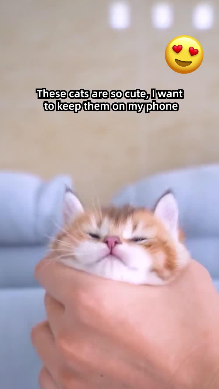 Having a pet on your home screen be like..