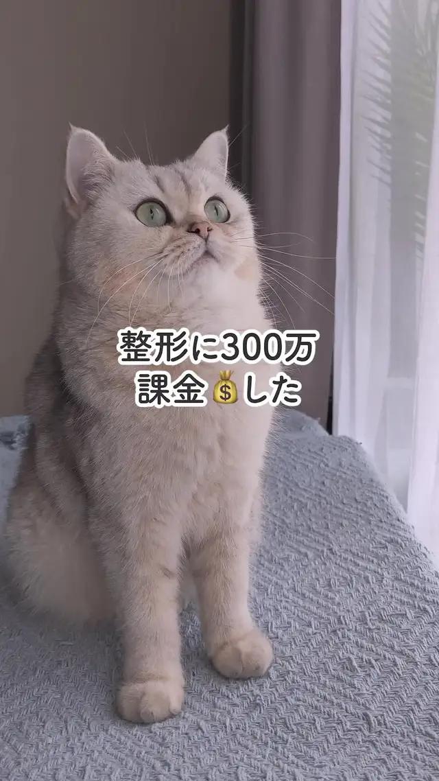 その手があったか！「口コミ検索」「施術検索」「オンライン相談」に全集中！