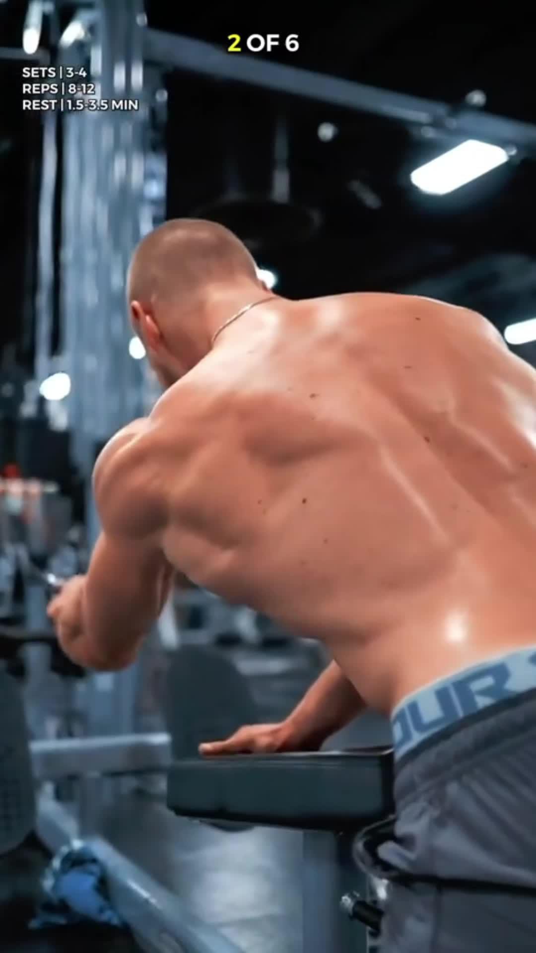 No idea how to start your fitness journey? Let FitPulse guide you! Download now for free↓↓↓