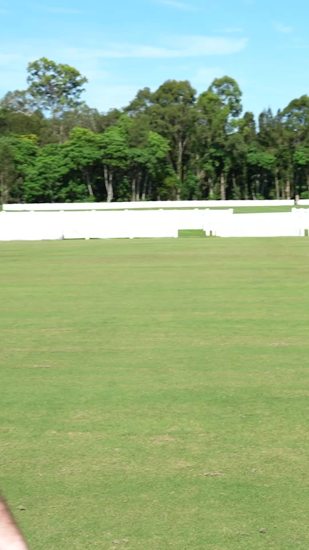 Compete like its a NEW Season EVERY week! - PLAY NOW