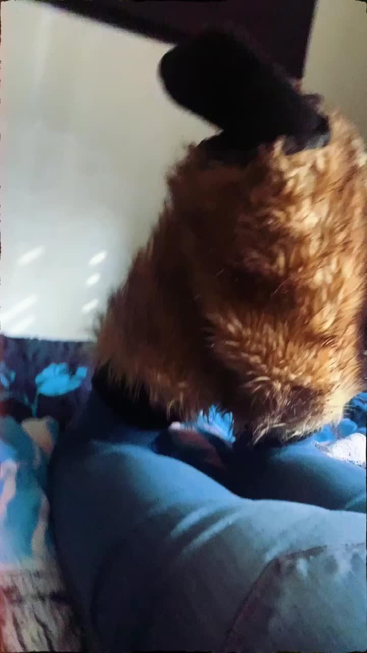 Bored? Meet new friends now!!