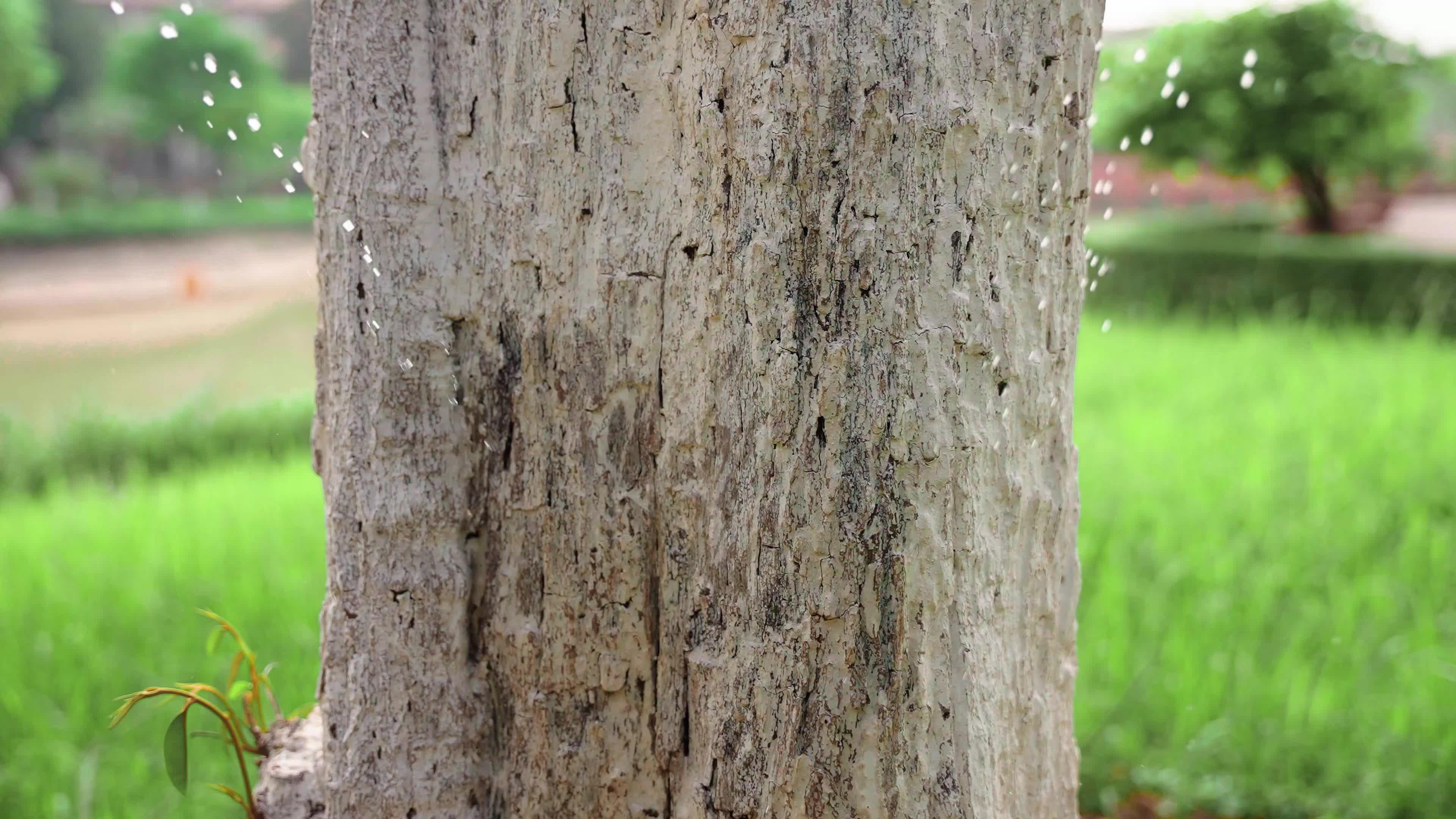 Đăng nhập 7 ngày, hiệp khách trao tay