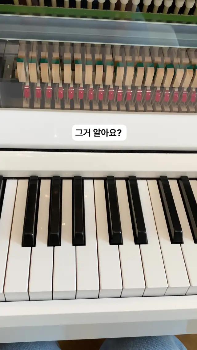 좋아하는 노래를 연주하세요