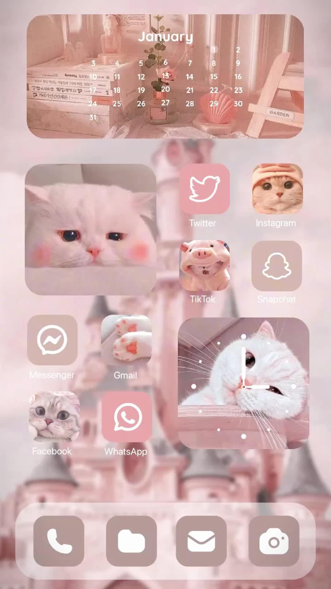 Set exclusive widgets & themes for your Phone