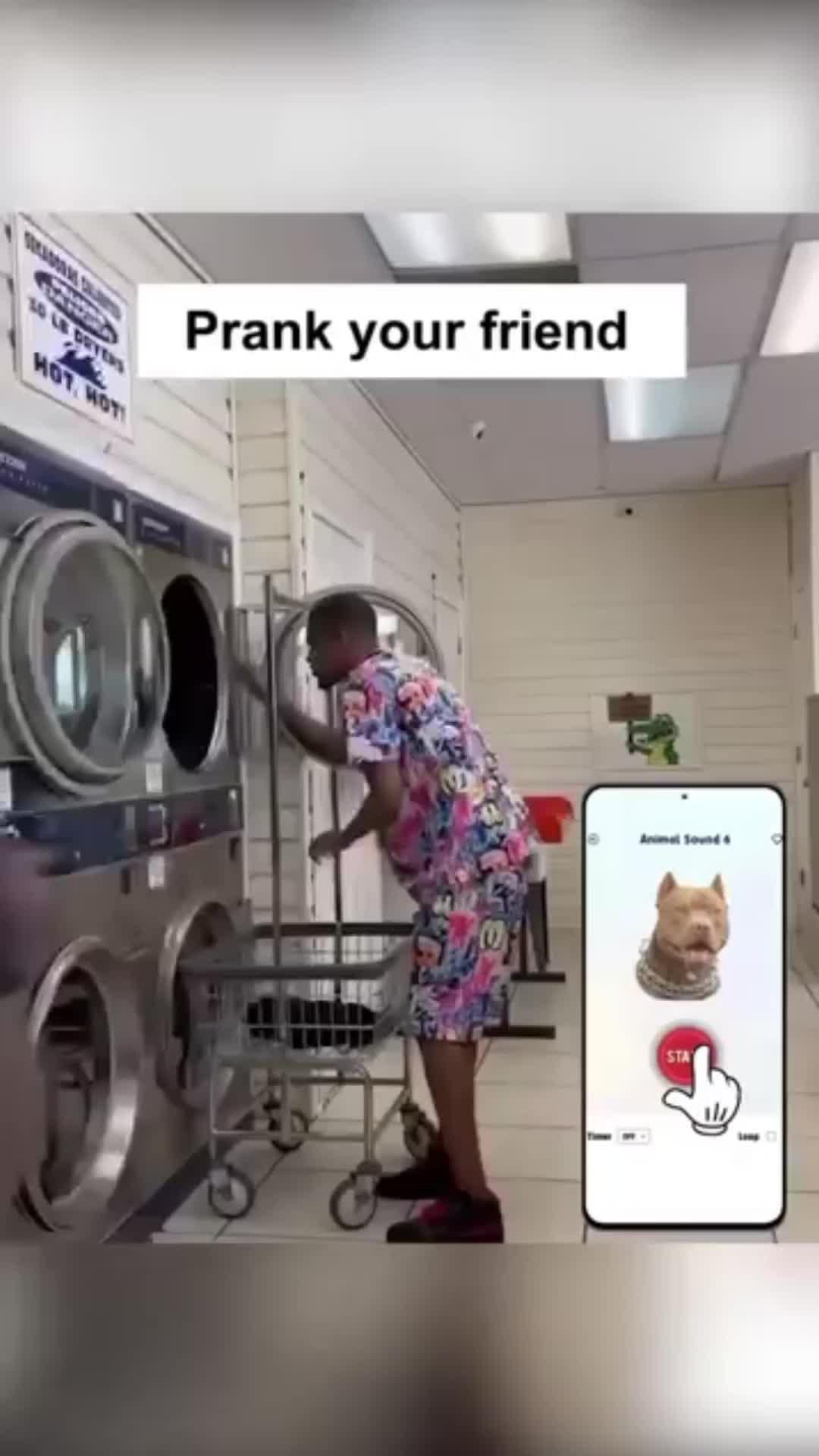 Instant Prank With Your Friend