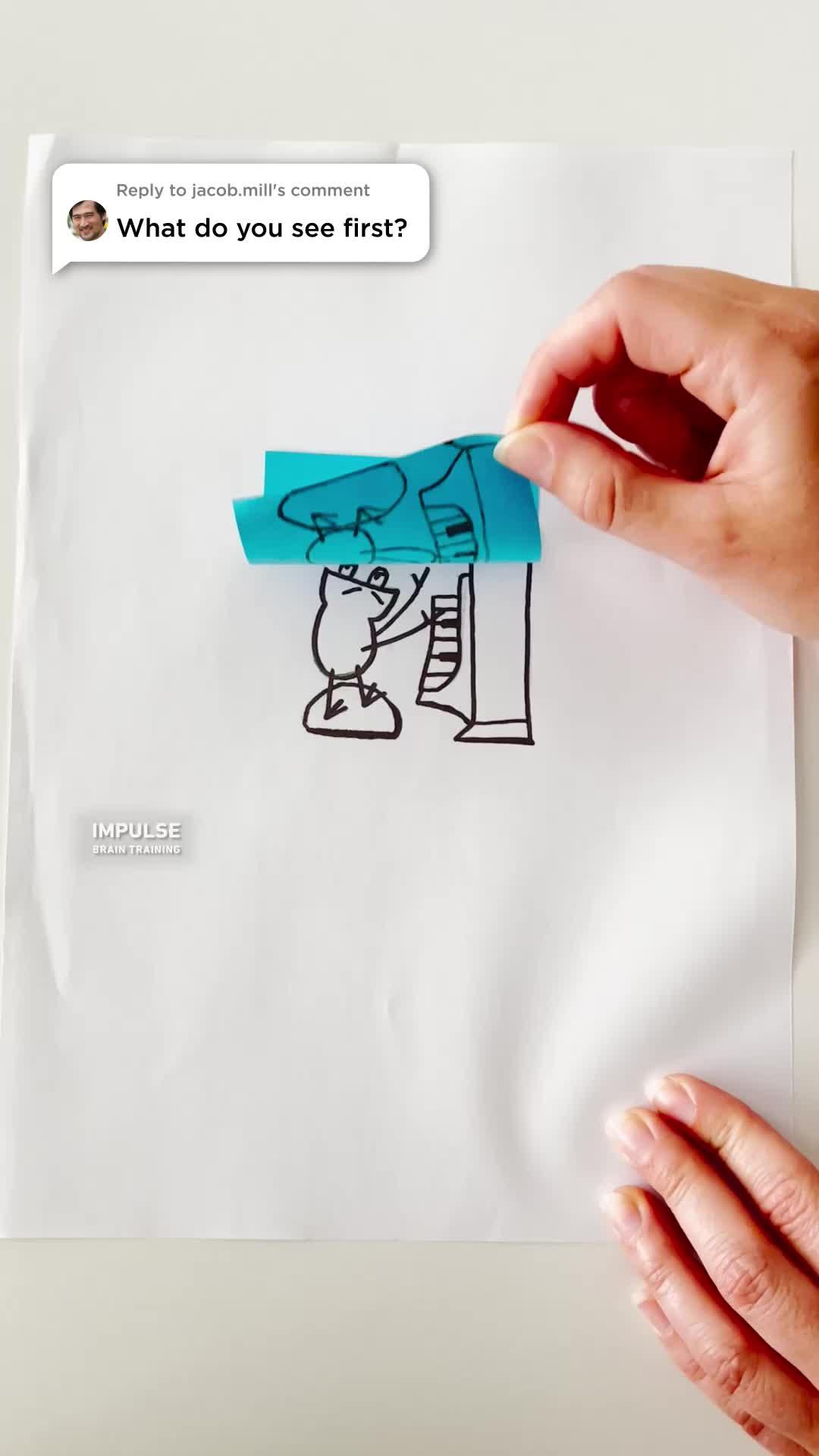 Take the test to learn more about your brain!