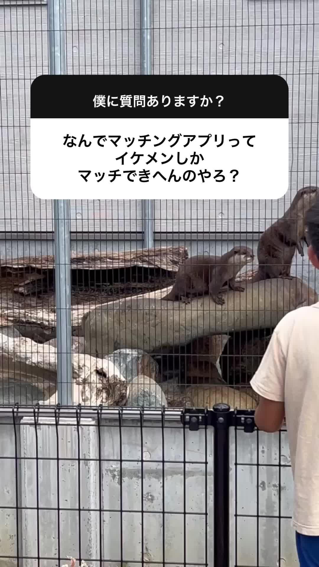 フツメンでも可愛い子とデートできるアプリ見つけた!