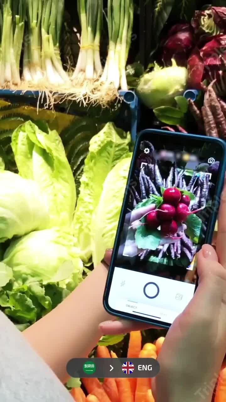 100% free translation app!