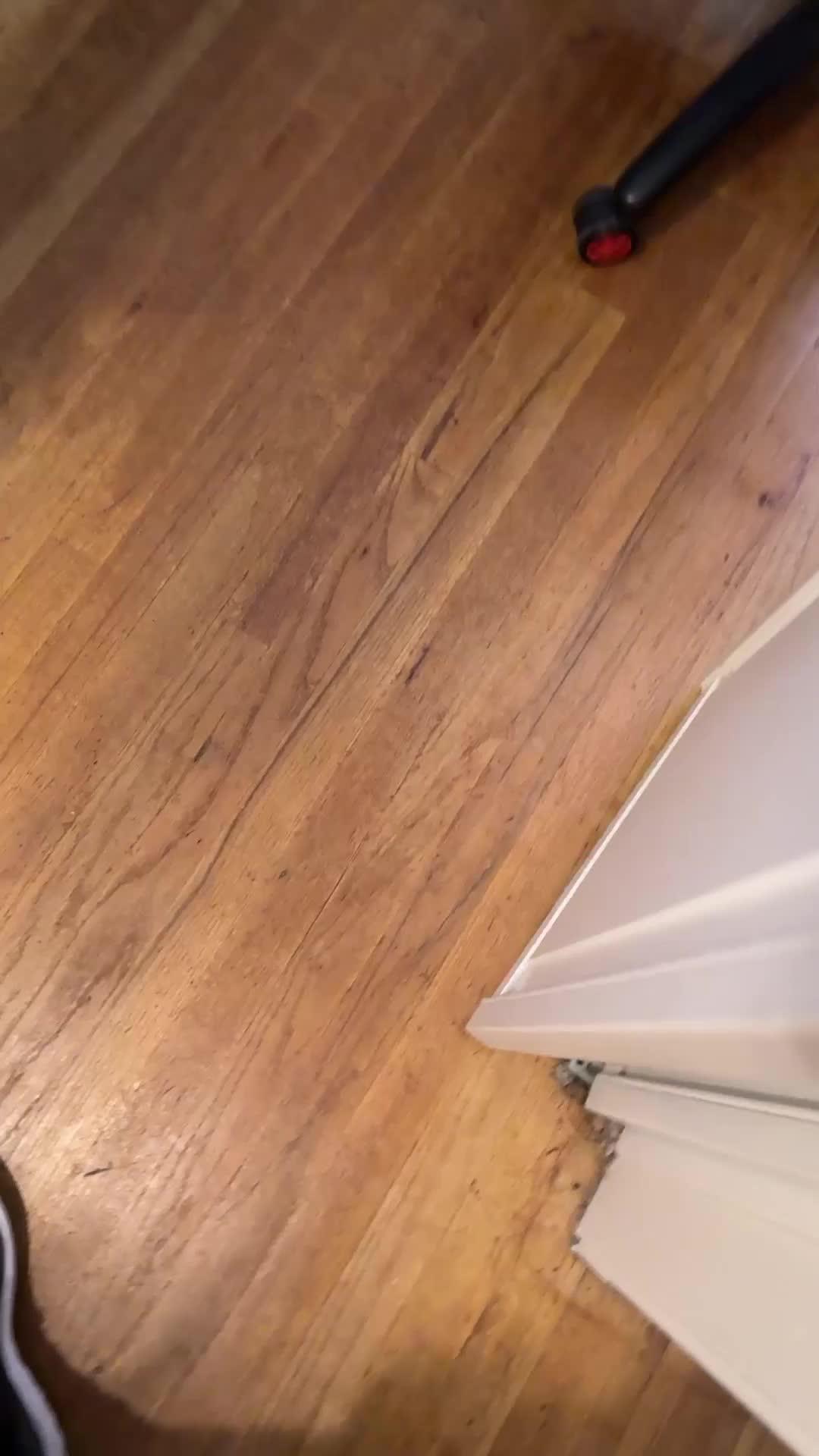 Farm, fish, explore, trade and more