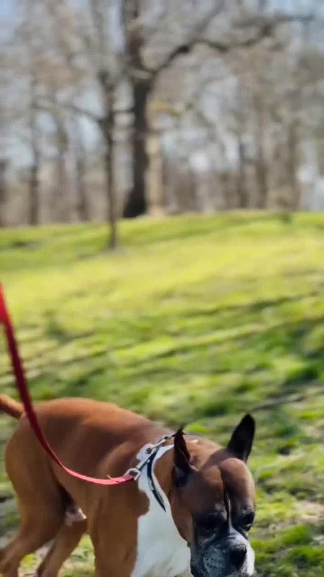 Learn sign language in just 10 mins/day!