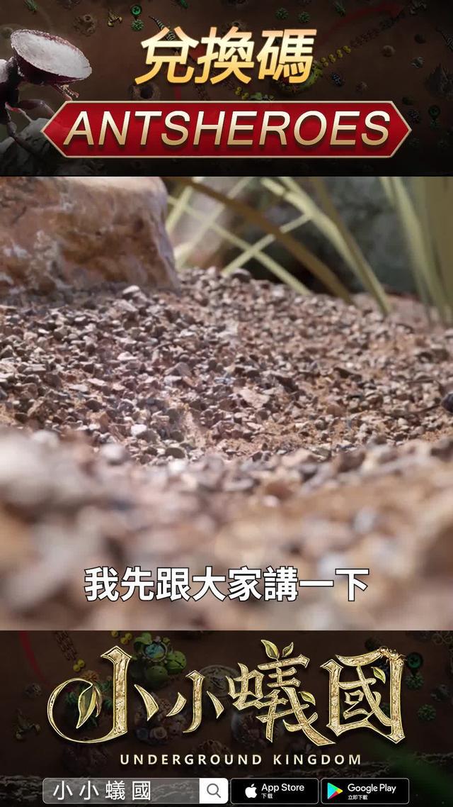 建造最强地下蟻國