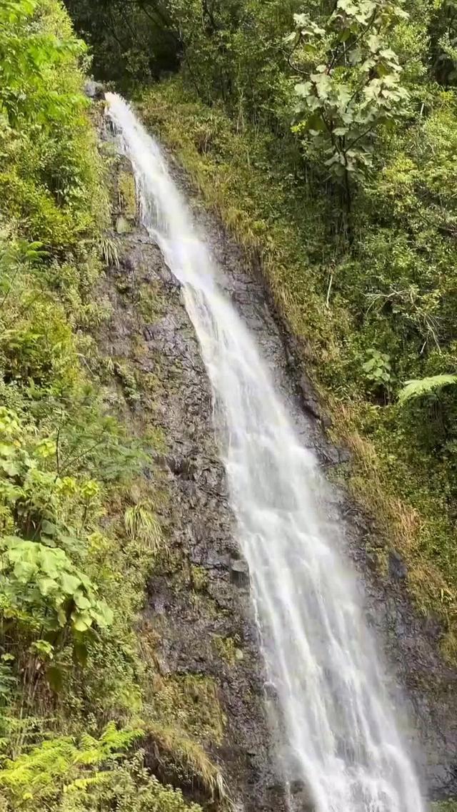 Make the most of your spring adventures.