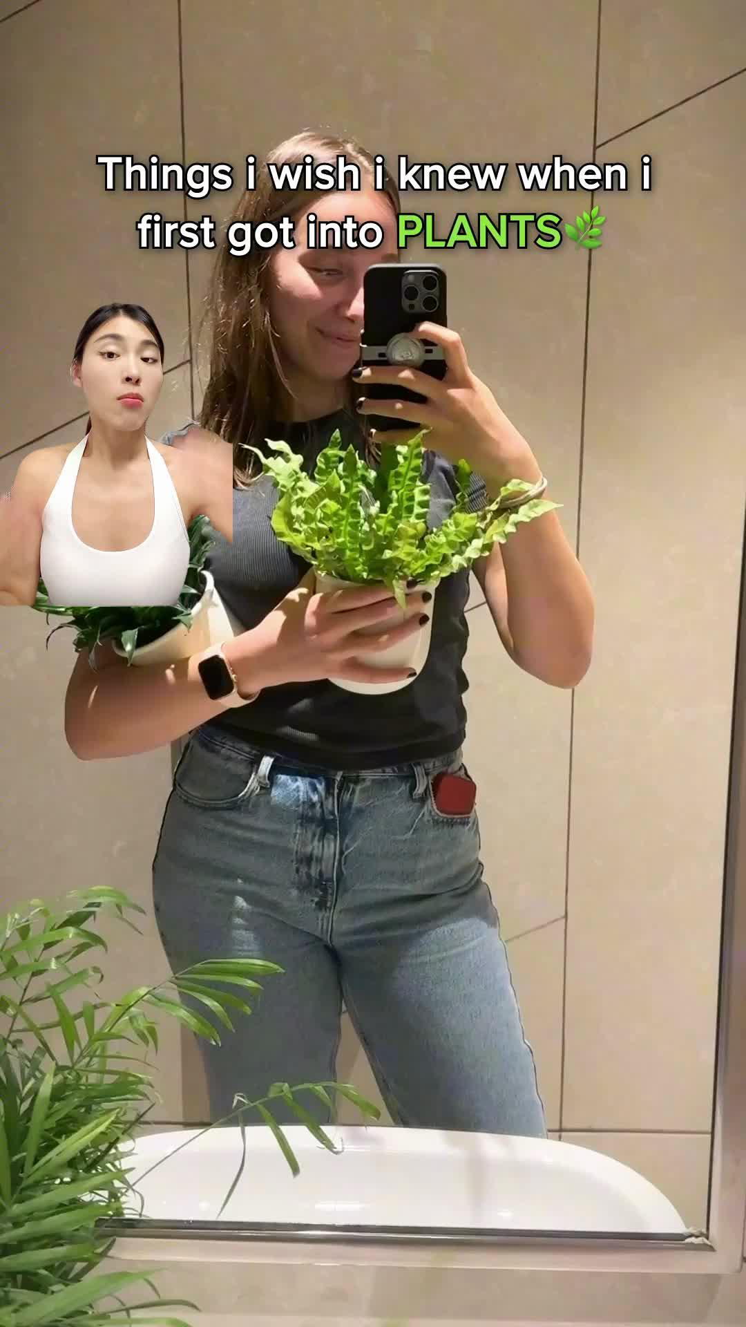 Identify any plant & diagnose plant diseases instantly!