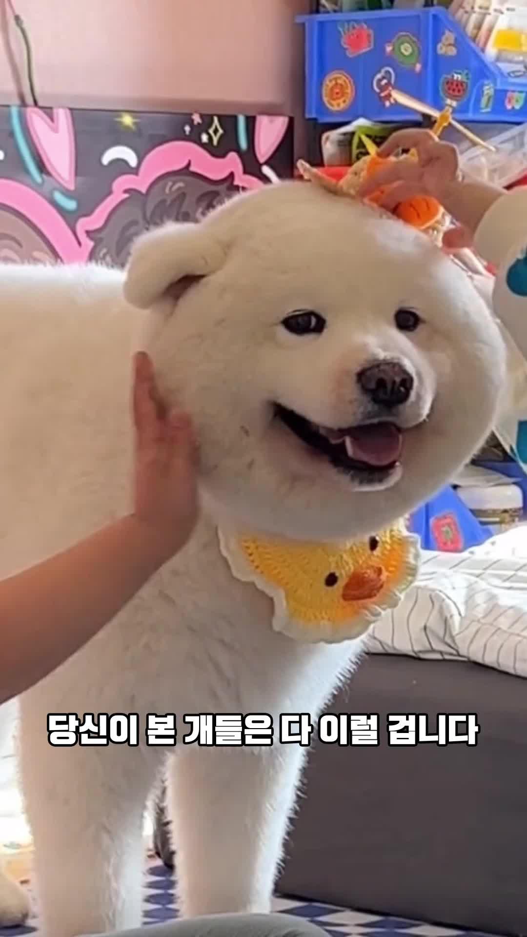 구글플레이 추천 게임! 각성 한 방에 2074판 순삭클리어