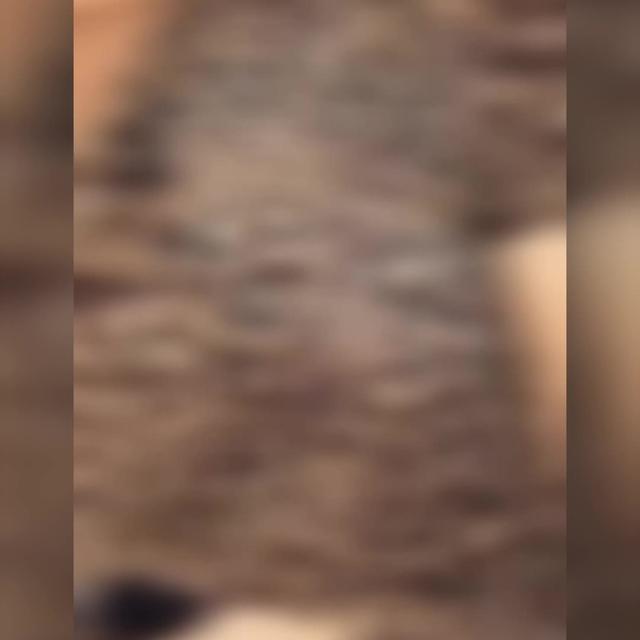 1 on 1 free live video chat with beautiful girls!