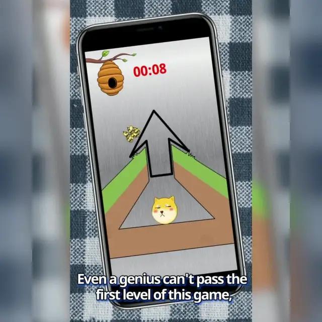 Quantos níveis você consegue passar?