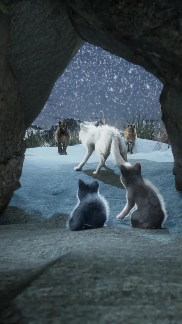 The hunt is ON！