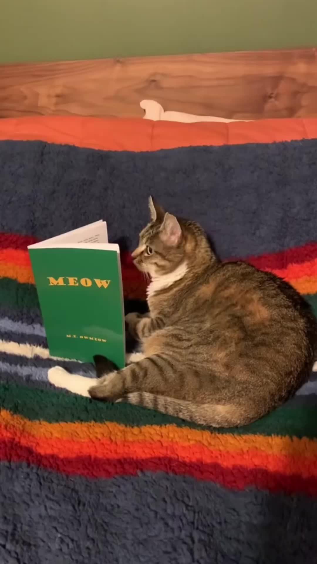 Install App and Boost Personal Growth!