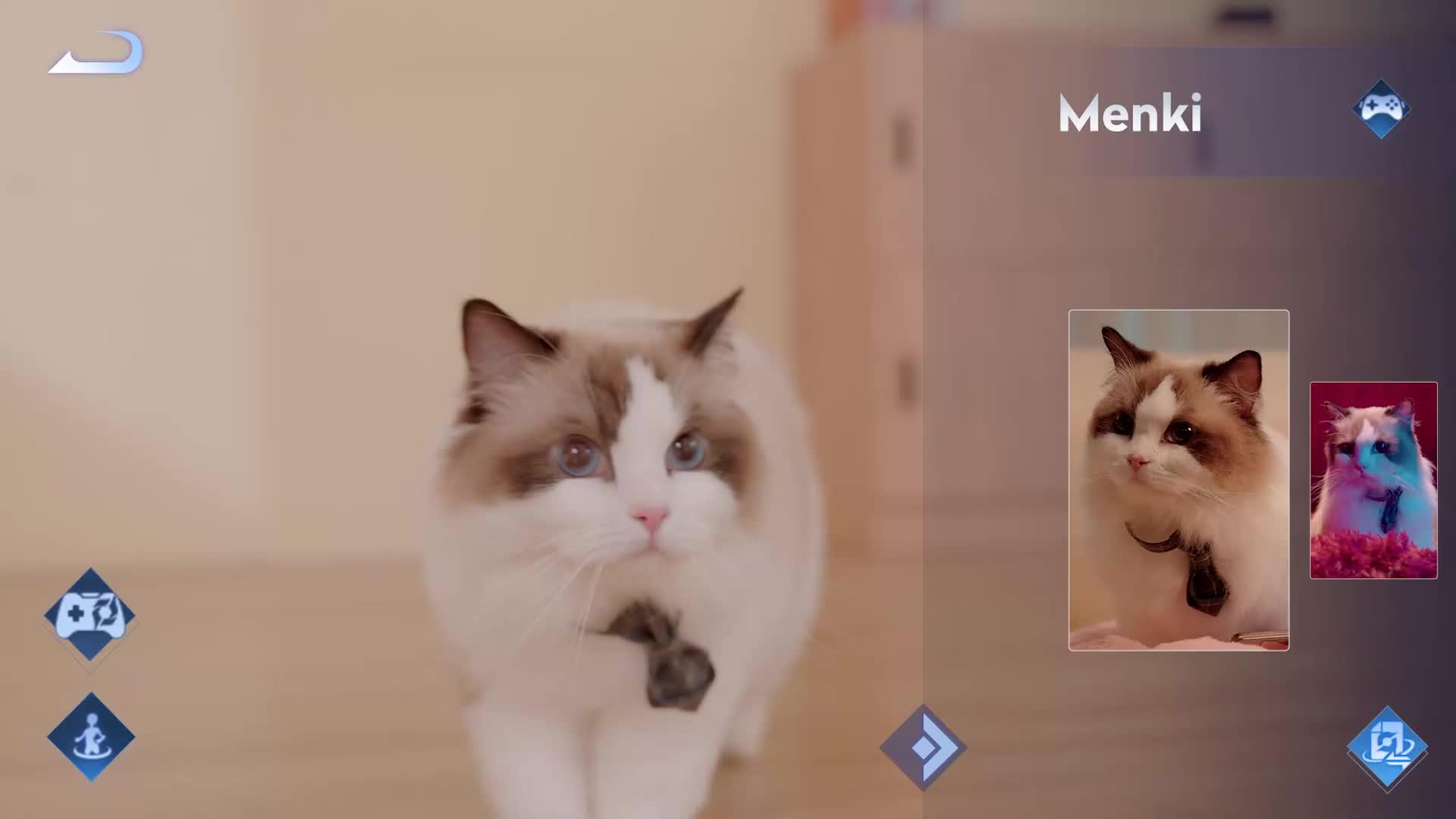 100 Million+ Daily Players  Worldwide