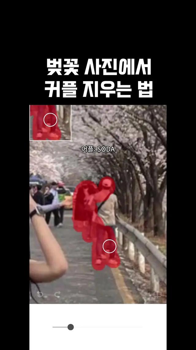 솔로도 이제 맘편히 벚꽃사진 찍자ㅋㅋㅋ 어플: soda #벚꽃 #추천 #솔로 #커플 #보정어플 #벚꽃사진 