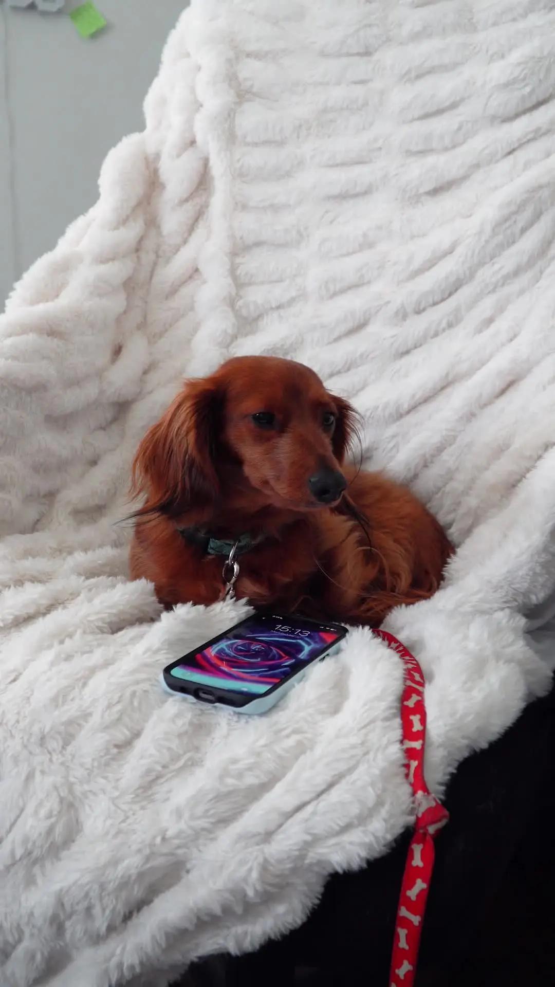 One Tap Make Your Wallpapaer Awesome!