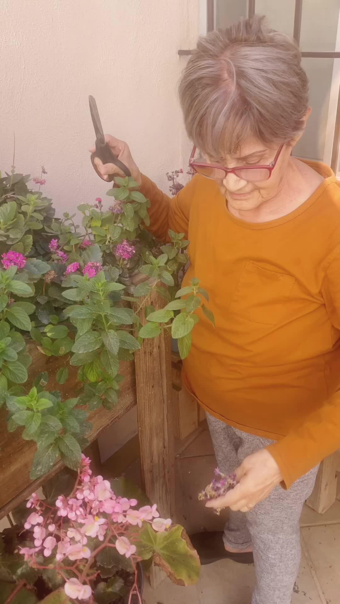 Identify any plant & diagnose plant diseases instantly!