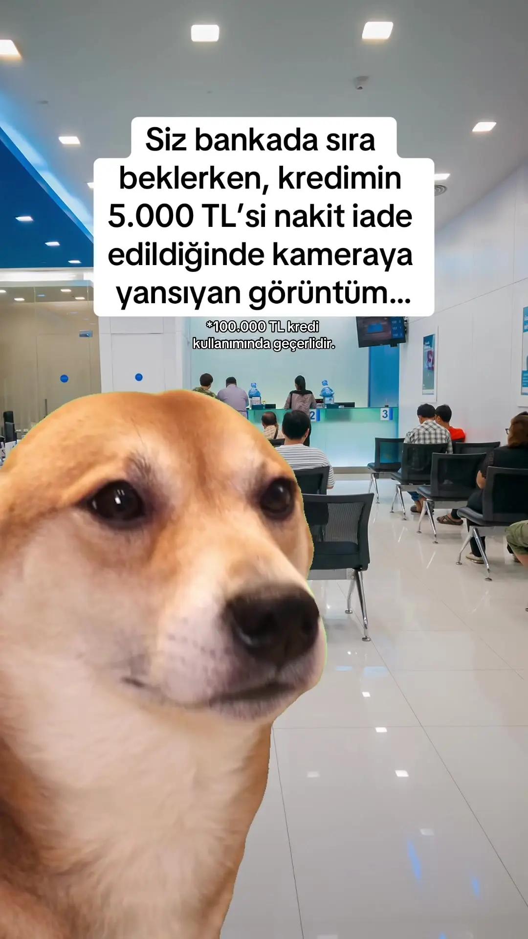 Bankada sıra beklemek yok, keyif çok. Hayat Finans’ta masraf yok, fayda çok. Hayat Finans’lı olun çektiğiniz kredinin 5.000 TL’si nakit iade edilsin. *100.000 TL kredi kullanımında geçerlidir. #HayatFinans #TürkiyeninİlkDijitalBankası #DijitalBankacılık #Erişilebilirlik 