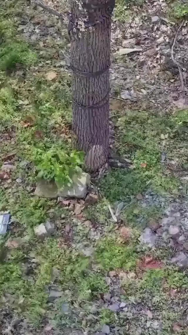 Download & Find Location Easy!