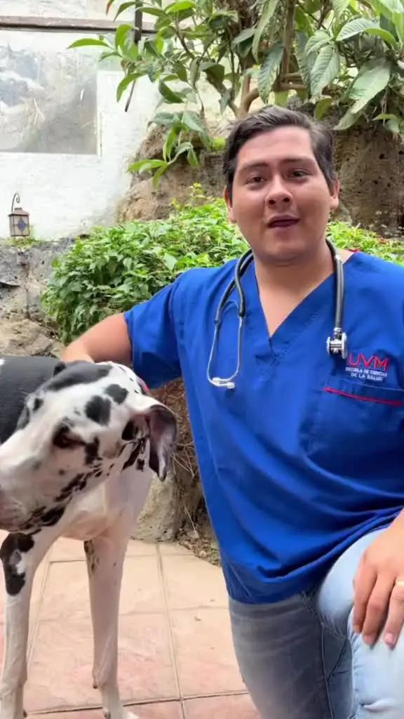 Aplicación №1 para perros y cachorros, creada por los mejores expertos caninos!