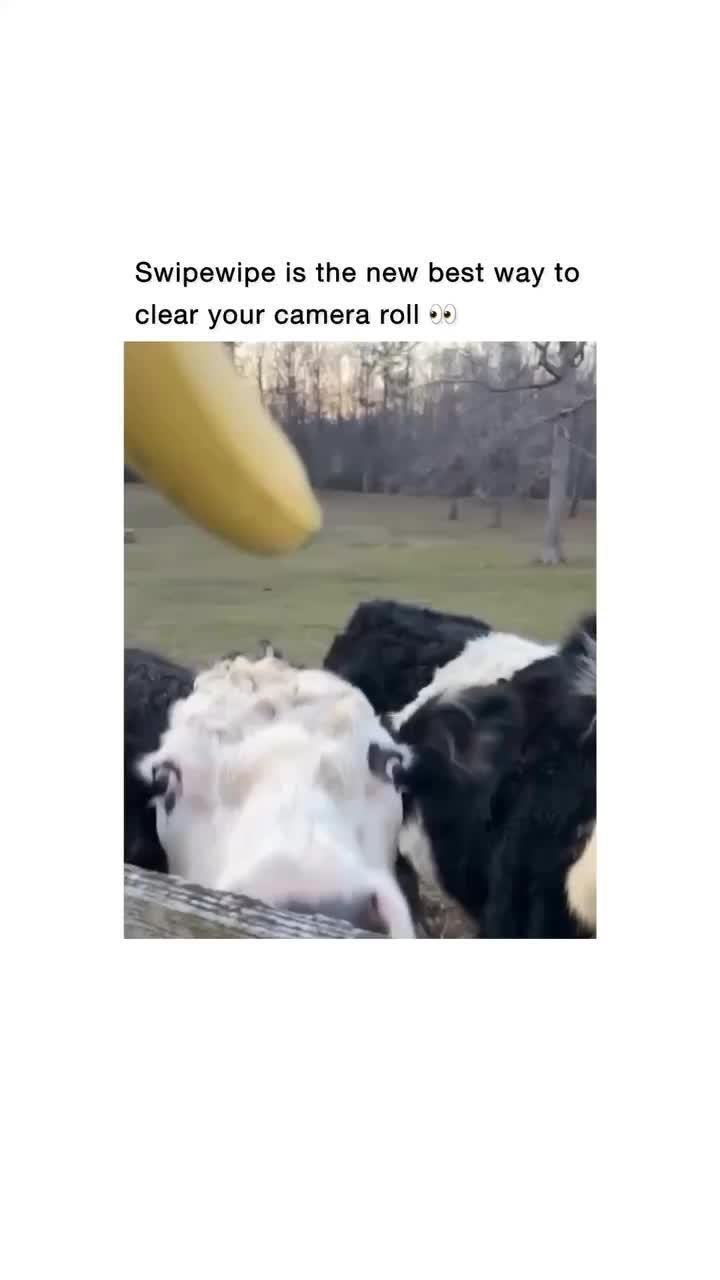 The swipe wipe app is Best way to clear storage