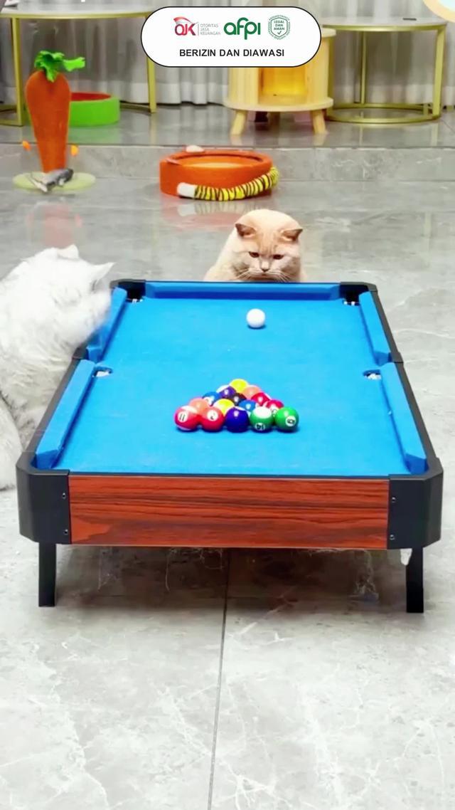 Bisa pinjam sampai 10 Juta, cicilan ringan, aman dan mudah!