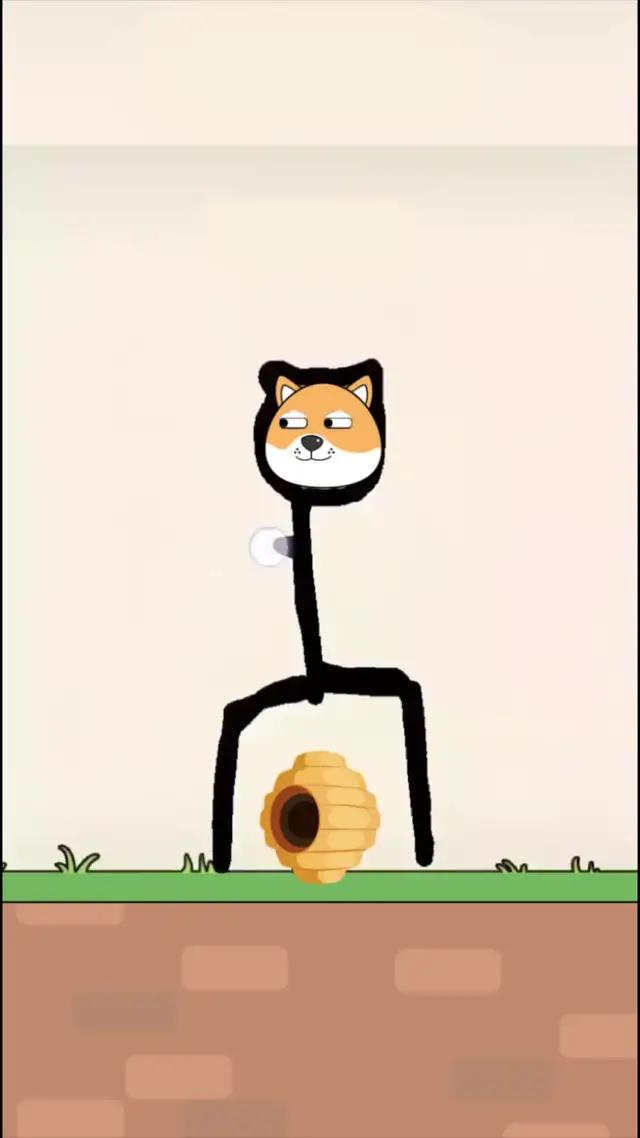 Os cães estão em perigo agora, venha salvá-los! 