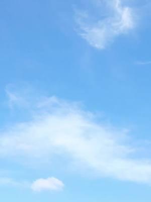  Más información en imagin.com 